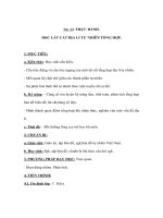 Giáo án địa lý lớp 8 - THỰC HÀNH. ĐỌC LÁT CẮT ĐỊA LÍ TỰ NHIÊN TỔNG HỢP pot