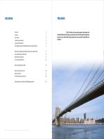 nội dung báo cáo thường niên 2008 ngân hàng quốc tế vib