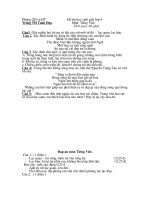 De thi mon tieng viet