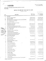 ngân hàng thương mại cổ phần sài gòn hà nội shb toàn hàng báo cáo tài chính mẫu số b02 tctd bảng cân đối kế toán hợp nhất quý 4 năm 2009 tại ngày 31 12 2009