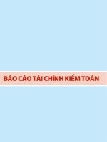 báo cáo tài chính kiểm toán về báo cáo tài chính tổng hợp năm 2010 của ngân hàng phát triển nhà đồng bằng sông cửu long