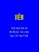 sinh lý bệnh đại cương chức năng viêm