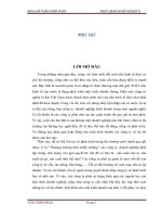 Phân tích hiệu quả hoạt động kinh doanh tại công ty TNHH dược phẩm an thiên