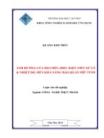 Ảnh hưởng của độ chín, điều kiện tiền xử lý và nhiệt độ đến khả năng bảo quản mít tươi
