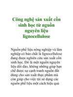 Công nghệ sản xuất cồn sinh học từ nguồn nguyên liệu lignocellulose docx