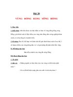 Địa lý lớp 9 - VÙNG ĐỒNG BẰNG SÔNG HỒNG pot