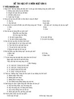 đề thi HK2 09-10 tham khảo Văn 6