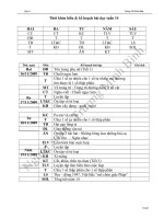 giáo án lop 5 cktkn moi