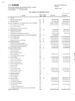 ngân hàng thương mại cổ phần sài gòn hà nội shb báo cáo tài chính hợp nhất năm 2011 td bảng cân đối kế toán