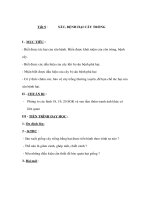 Giáo án Công nghệ lớp 7 - SÂU, BỆNH HẠI CÂY TRỒNG doc