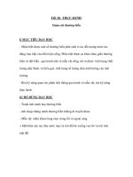 Sinh học 9 - Tiết 28: THỰC HÀNH: Quan sát thường biến pot