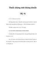 Thuốc kháng sinh kháng khuẩn (Kỳ 4) pps