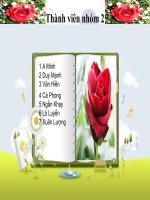 Đề tài ô nhiễm đất  để tìm hiểu về nguyên nhân gây ô nhiễm đất ở việt nam,