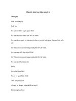 Cấp giấy phép hoạt động ngành in pot