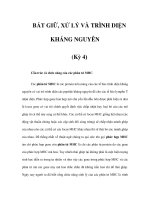 BẮT GIỮ, XỬ LÝ VÀ TRÌNH DIỆN KHÁNG NGUYÊN (Kỳ 4) pot