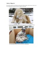 Ảnh lạ về động vật