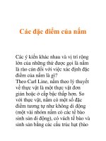 Các đặc điểm của nấm potx