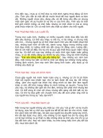 Bản sao tình yêu pps