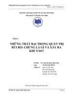 NHỮNG THẤT BẠI TRONG QUẢN TRỊ RỦI RO: CHÚNG LÀ GÌ VÀ XẢY RA KHI NÀO?