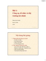 Công cụ, tổ chức và thị trường tài chính ppsx