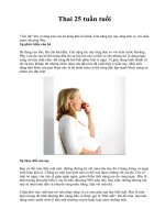 Thai 25 tuần tuổi docx