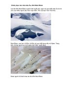 Chinh phục nóc nhà châu Âu