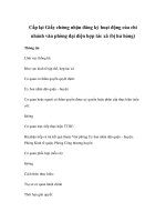 Cấp lại Giấy chứng nhận đăng ký hoạt động của chi nhánh văn phòng đại diện hợp tác xã (bị hư hỏng) pps