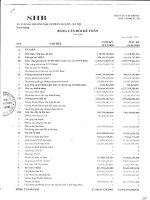 ngân hàng thương mại cổ phần sài gòn hà nội shb toàn hàng báo cáo tài chính mẫu số b02 tctd bảng cân đối kế toán năm 2009