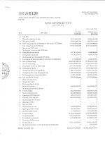 ngân hàng thương mại cổ phần sài gòn hà nội shb báo cáo tài chính bảng cân đối kế toán quý 3 năm 2010