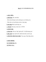 Địa lý lớp 6 - CÁC MỎ KHOÁNG SẢN potx