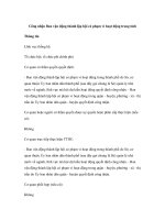 Công nhận Ban vận động thành lập hội có phạm vi hoạt động trong tỉnh pdf