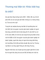 Thương mại điện tử: Khác biệt hay là chết? pps