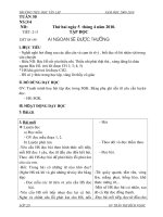 Giáo án tuần 30 (2 buôi)