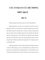 CÁC CƠ QUAN CỦA HỆ THỐNG MIỄN DỊCH (Kỳ 2) pot