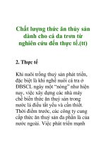 Chất lượng thức ăn thủy sản dành cho cá da trơn từ nghiên cứu đến thực tế pot