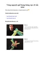 Vòng nguyệt quế bong bóng rực rỡ sắc màu pot