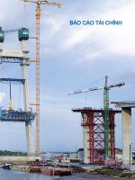 báo cáo tài chính kiểm toán về báo cáo tài chính hợp nhất năm 2009 của ngân hàng phát triển nhà đồng bằng sông cửu long