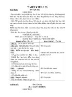 Giáo án TV 4 Tuần 35 - Chuẩn KTKN