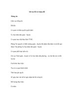 Ghi nợ tiền sử dụng đất potx