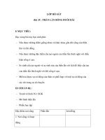 Sinh học 7 - Bài 38 : THẰN LẰN BÓNG ĐUÔI DÀI potx