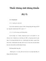 Thuốc kháng sinh kháng khuẩn (Kỳ 5) pot