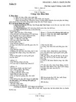 Giao an Lop 5 tuan 31