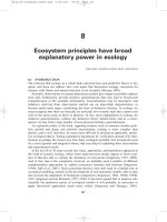 A New Ecology - Systems Perspective - Chapter 8 docx