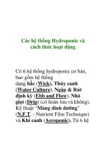 Các hệ thống Hydroponic và cách thức hoạt động pot