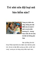 Trẻ nhỏ nên đội loại mũ bảo hiểm nào? pot