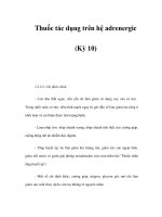 Thuốc tác dụng trên hệ adrenergic (Kỳ 10) ppt