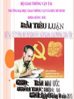 Tiểu luận 