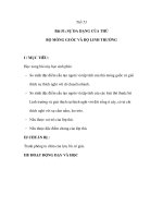 Sinh học 7 - Bài 51: SỰ ĐA DẠNG CỦA THÚ BỘ MÓNG GUỐC VÀ BỘ LINH TRƯỞNG pps