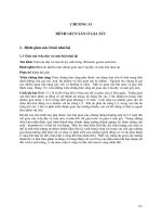 Sổ tay bệnh động vật - Chương 13 pdf