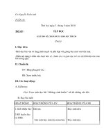 Giao an 5-tuan 33.CKTKN